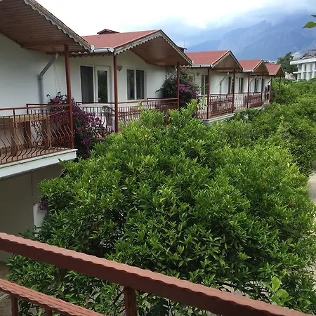 Paradise Homes *